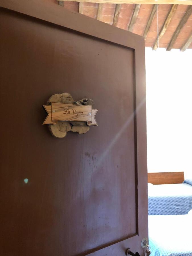 Agriturismo Diffuso Monte Oliveto Maggiore Chiusure المظهر الخارجي الصورة