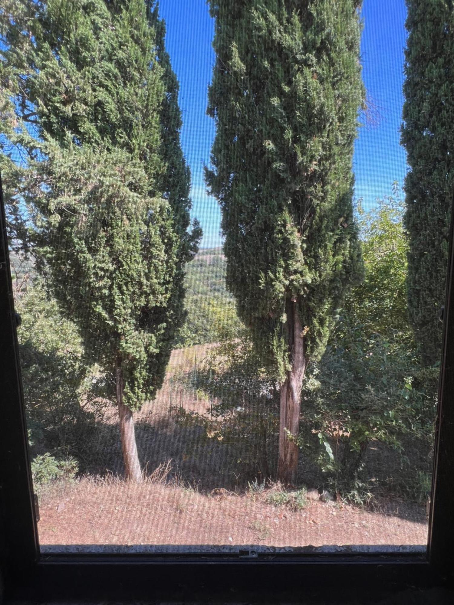 Agriturismo Diffuso Monte Oliveto Maggiore Chiusure المظهر الخارجي الصورة